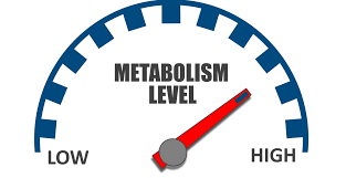 image-899708-metabolism-c51ce.png